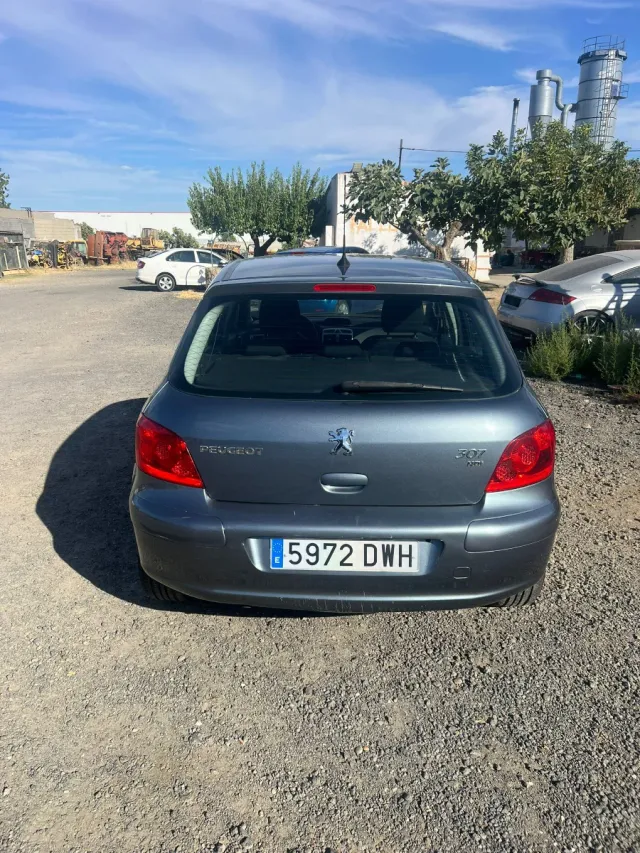 Peugeot 307 2006