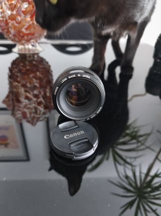 Canon EF 50mm f/1.4 Lente