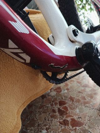 Bicicleta carbono doble suspensión ..