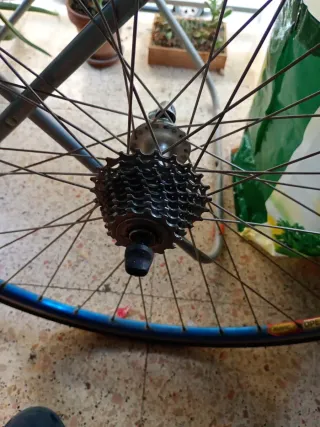 Bicicleta Carretera Ridley