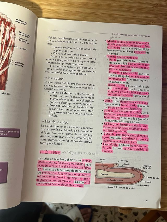 Libro Estética de Manos y Pies Paraninfo