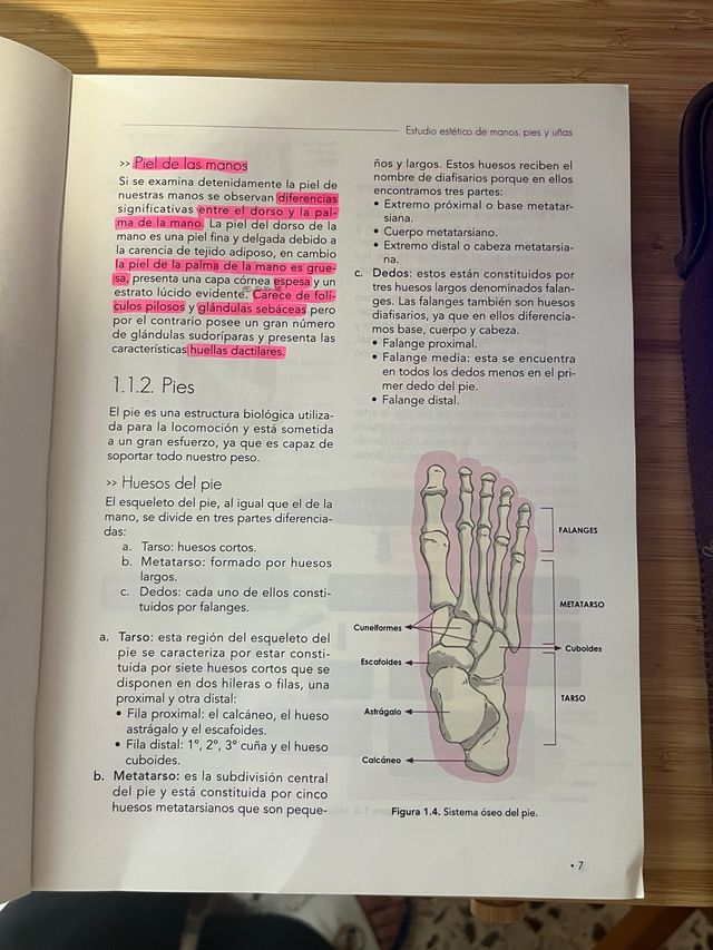 Libro Estética de Manos y Pies Paraninfo