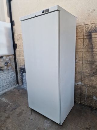 Congelador grande 600L puerta ciega