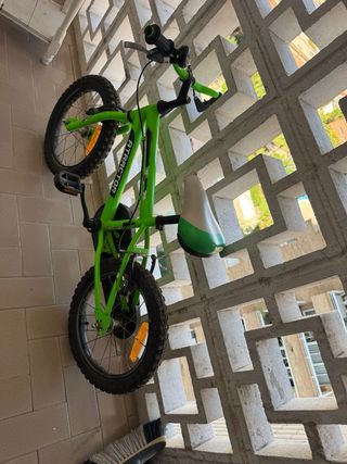 Bicicleta infantil verde ATRACTOR