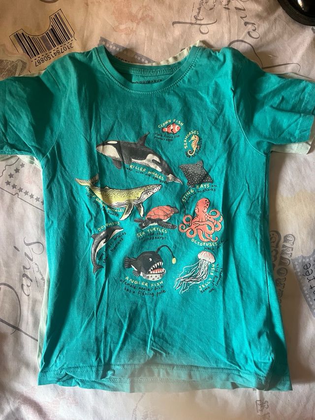 Lote Ropa Niño Tallas Varias 7-8