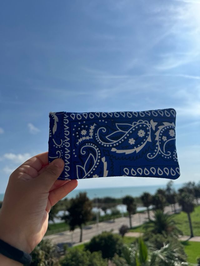 Funda de gafas estampado paisley