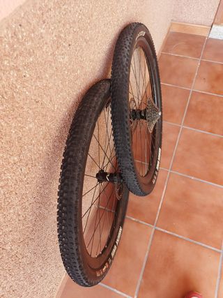 Ruedas carbono Evo C25 29