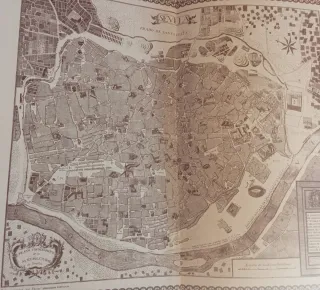 Libro El elefante de marfil. Nerea Riesco