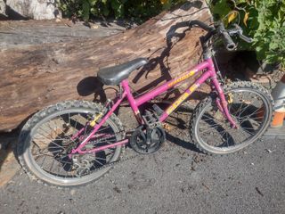 Bici MTB Rosa Rodado 20