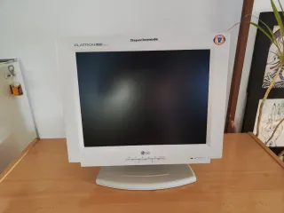 Pantalla LG Flatron LCD