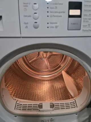 Secadora Bosch Avantixx 7