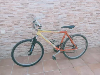 Bicicleta Orbea MTB Amarillo/Naranja