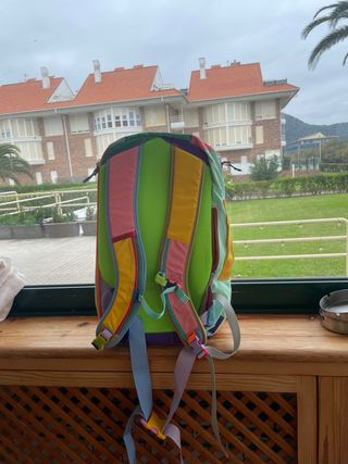 Mochila Cotopaxi 28L Multicolor