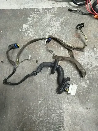 Cableado Puerta Renault Megane II