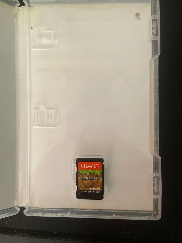 Minecraft Nintendo Switch