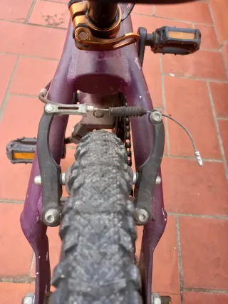 Bicicleta Orbea Grow 1