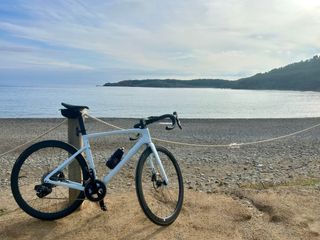 Bicicleta carretera 
specialized Tarmac SL expert