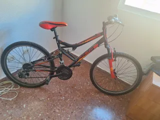 Bicicleta de montaña Berg