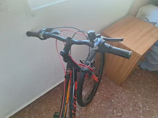 Bicicleta de montaña Berg