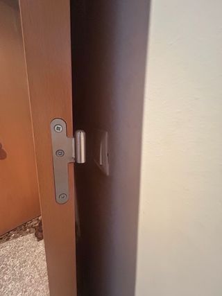 Puerta interior de madera