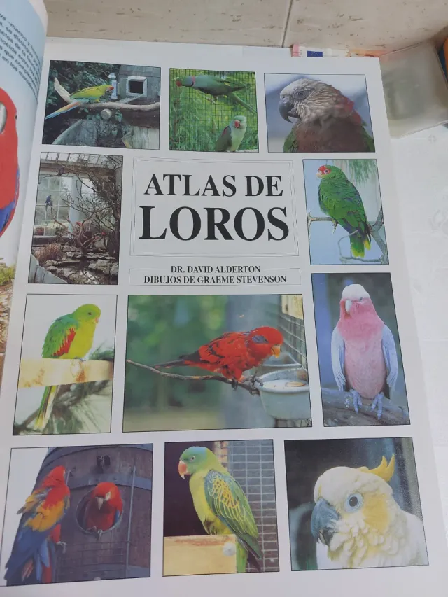 Atlas de Loros Dr. David Alderton