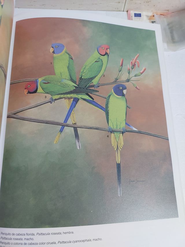 Atlas de Loros Dr. David Alderton