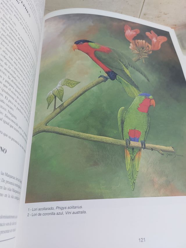 Atlas de Loros Dr. David Alderton