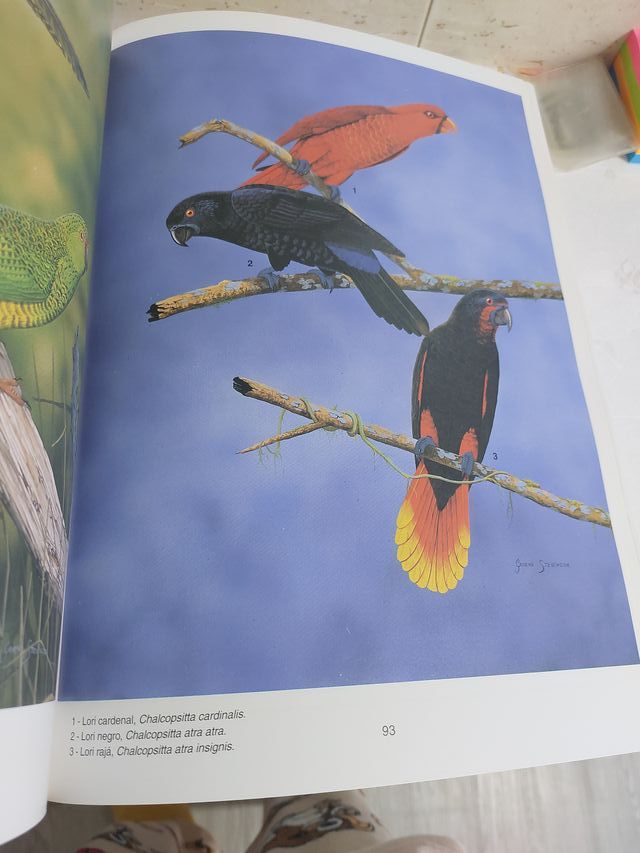 Atlas de Loros Dr. David Alderton