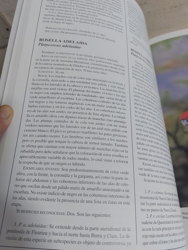 Atlas de Loros Dr. David Alderton