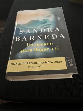 Un océano para llegar a ti: Finalista Premio Pl...