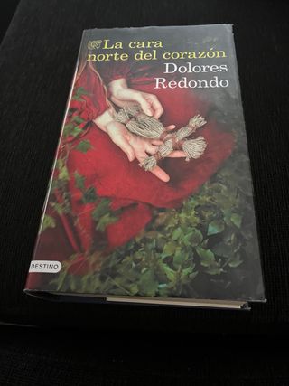 La cara norte del corazón