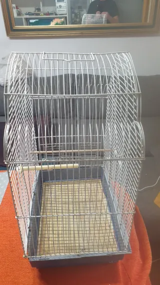 Jaula grande para ninfas y otros pájaro