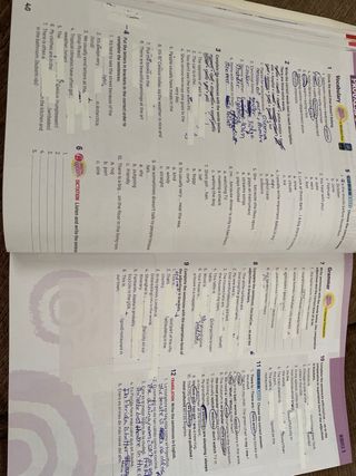 Options 1ESO Workbook Burlington 