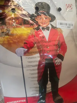 Disfraz Maestro Ceremonias Niño Talla Única