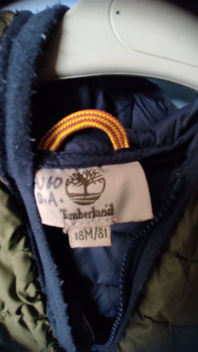 Chaqueta Timberland niño verde