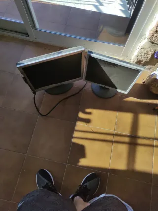 Monitores de ordenador (2 unidades)