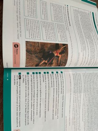 Lengua castellana y Literatura 1 BA LOMLOE Casals