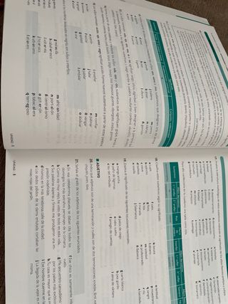 Lengua castellana y Literatura 1 BA LOMLOE Casals
