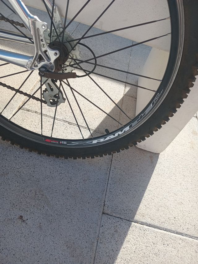 Bicicleta Strony 260