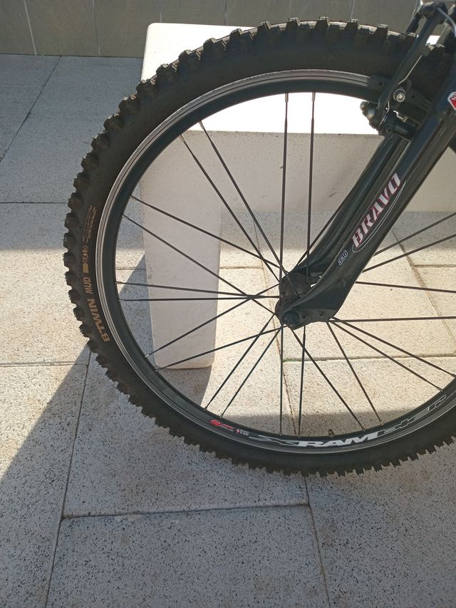 Bicicleta Strony 260