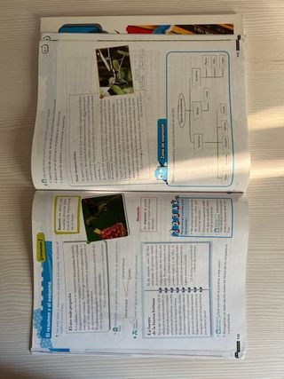 Pack de libros lengua quinto de primaria - ANAYA