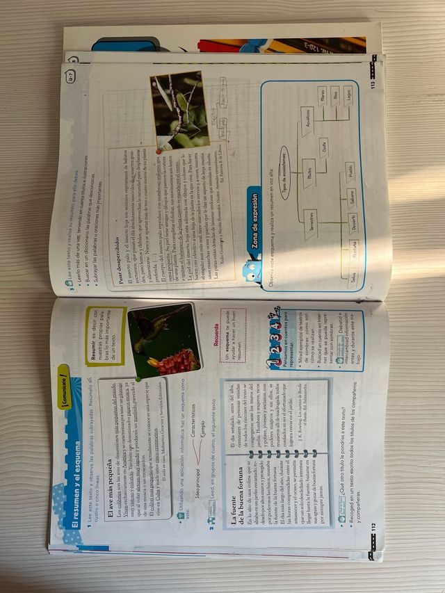 Pack de libros lengua quinto de primaria - ANAYA