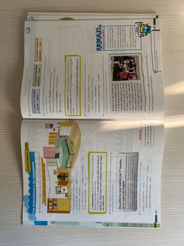 Pack de libros lengua quinto de primaria - ANAYA