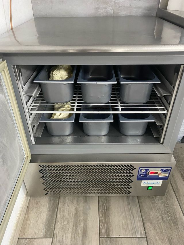 Abatidor de temperatura Frigogelo