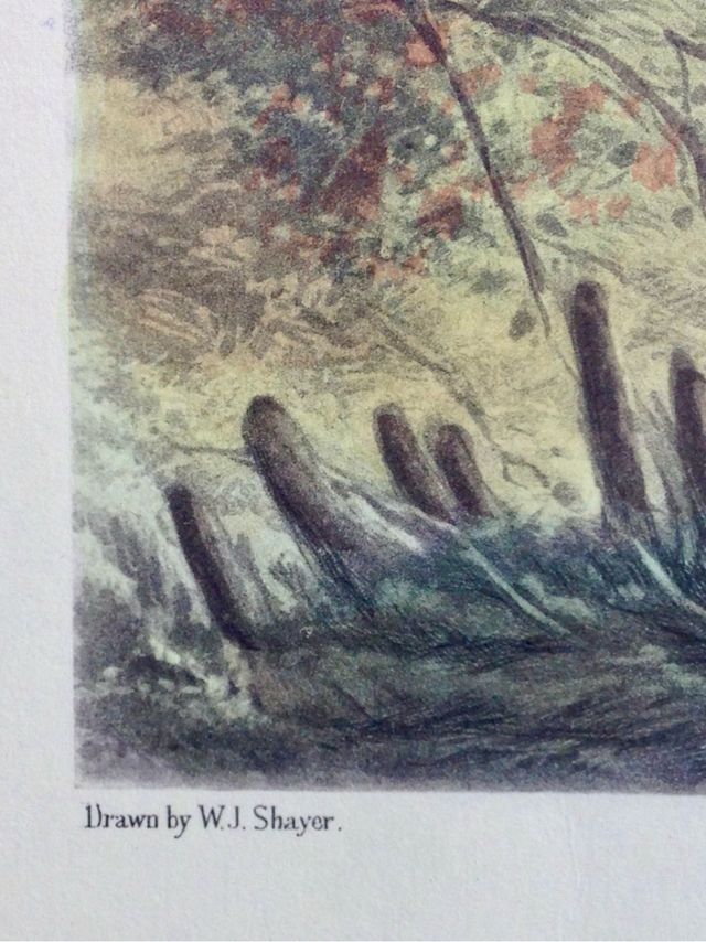 Dibujo de  W. J. Shayer y grabado por J.Harris