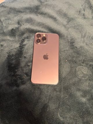 iPhone 13 Pro Max 256GB Gris