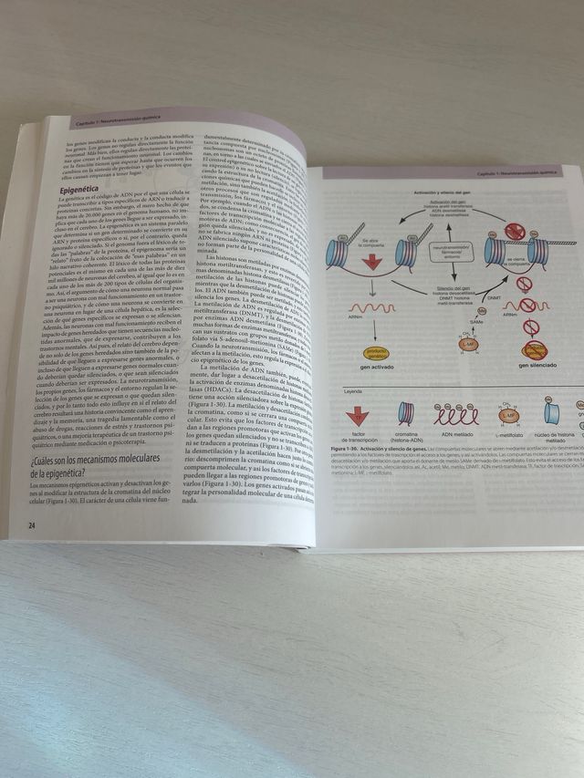 Psicofarmacología UNED, sin subrayado
