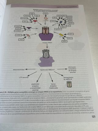 Psicofarmacología UNED, sin subrayado