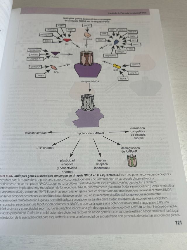Psicofarmacología UNED, sin subrayado