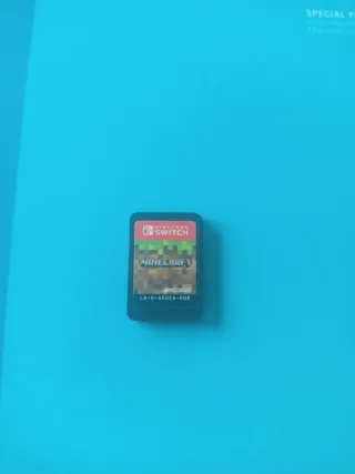 Minecraft Nintendo Switch